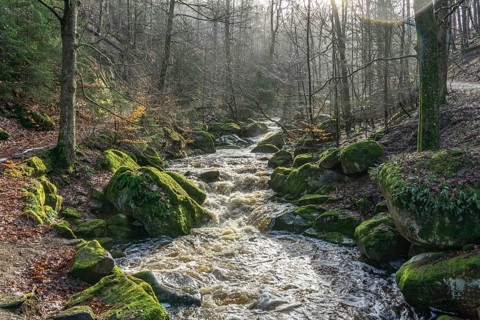 The Ilse at the Heinrich-Heine-Weg near Ilsenburg, Saxony-Anhalt, Germany