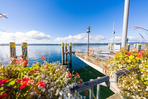 Flower-decorated pier on a calm lake under a clear sky, Überlingen, Lake Constance, Germany