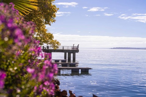 Colourful jetty by the water with flowers in the foreground and calm sky, Überlingen, Lake