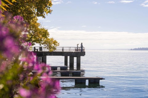 Footbridge at the water with people and autumn coloured trees in the background, Überlingen, Lake