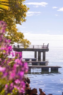 Footbridge with autumn trees and purple flowers by the water on a sunny day, Überlingen, Lake