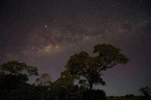 Pantanal Milky Way, Brazil
