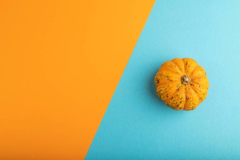 Orange Pumpkin on orange and blue pastel paper background. Top view, copy space, flat lay. healthy
