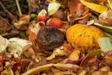 Compost pile made of organic food, leaves, vegetable and fruit Waste mix, Zero waste and Eco