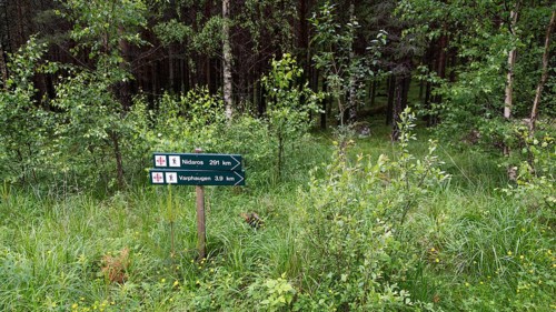 Signpost in the forest with Olav's cross indicating hiking routes, surrounded by dense greenery,