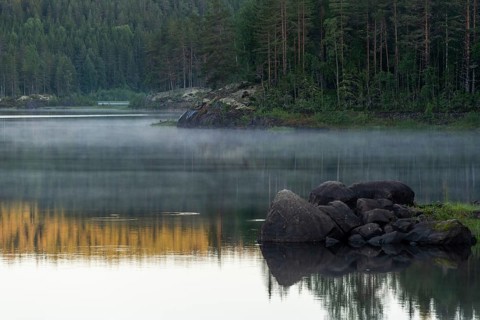 A calm lake with mist and rocks in front of a dense forest, Akershus, Norway