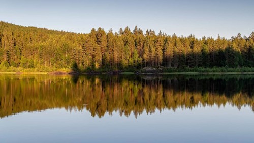Reflecting water surface, forest lake, sunset, Akershus, Norway