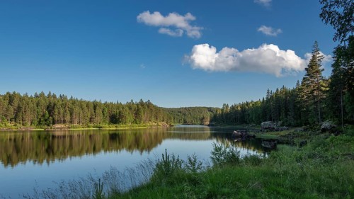 Quiet forest lake, Eidsvoll, Akershus, Norway