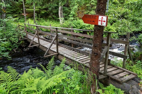 Narrow wooden bridge over a river in a green forest with a signpost to a hostel, Olav's Cross,