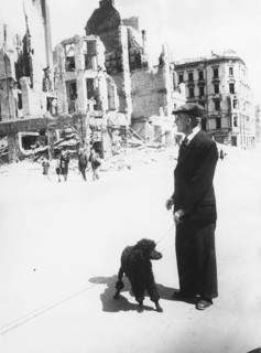 Man with dog in destroyed Nuremberg, ruins, 1946