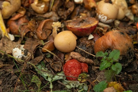 Compost pile made of organic food, leaves, vegetable and fruit Waste mix, Zero waste and Eco