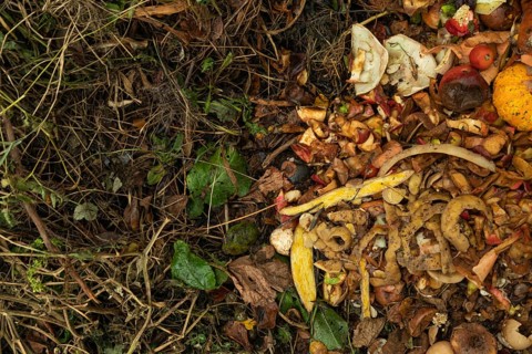 Compost pile made of organic food, leaves, vegetable and fruit Waste mix, Zero waste and Eco