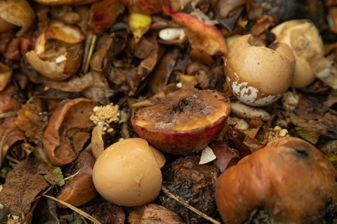 Compost pile made of organic food, leaves, vegetable and fruit Waste mix, Zero waste and Eco