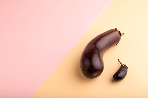 Two Eggplants big and small on pink and orange pastel paper background, side view, copy space,