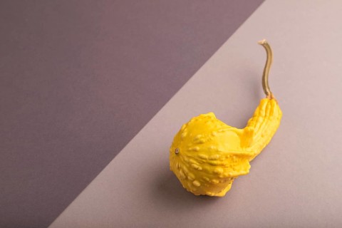 Decorative orange Pumpkin on beige and gray pastel paper background, side view, copy space,