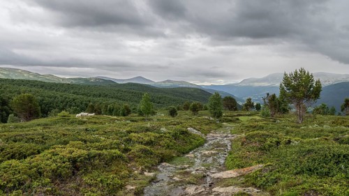 Olav's Way or Olavsleden pilgrimage route, old Kongevegen or King's Road over Dovrefjell, Norway
