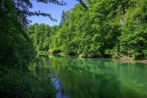 Steyr Fluss, Molln, Oberösterreich, Österreich