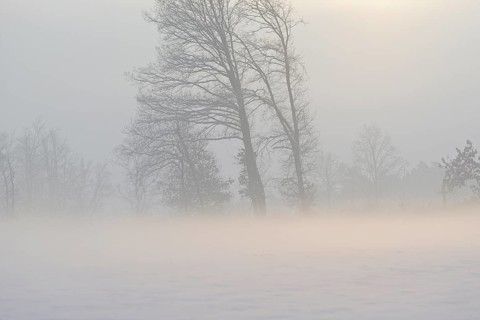 Winterlandschaft im Licht der Morgensonne, aufsteigender Bodennebel über einem Feld,