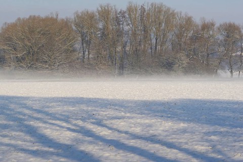 Winterlandschaft, Bodennebel steigt vor schneebedeckten Bäumen auf, Nordrhein-Westfalen,