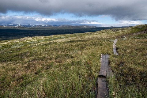 Schmaler Wanderweg durch Holzbohlen befestigt führt durch sumpfige, im Hintergrund bergige
