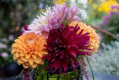 Kleiner Blumenstrauss mit Dahlien, Nordrhein-Westfalen, Deutschland
