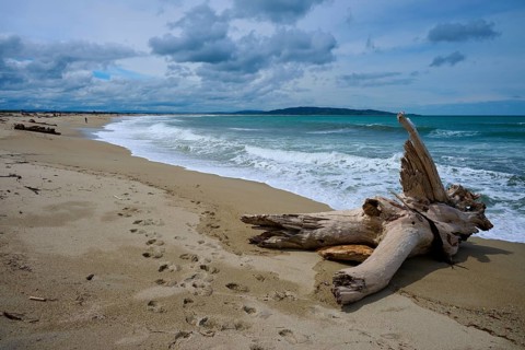Strand mit Treibholz und Fußspuren, unberührte Küste und bewölkte Atmosphäre, Kaka Point, Clutha