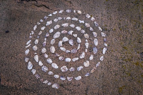 Shell mandala, circle made of shells on a granite rock, Bohus granite, Resö island, Bohuslän,