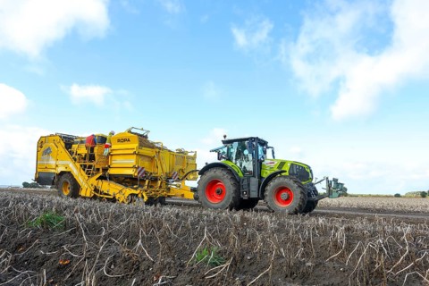 Agricultural harvesting of potatoes with ROPA Keiler 2 potato harvester in front of Claas Axion 830