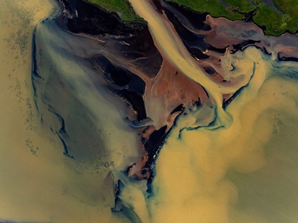 River, river course, river delta, branches, aerial view, wild river, summer, marshland, sediments,