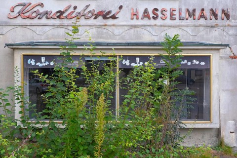 View of an overgrown shop window of an abandoned bakery, Barrien, Syke, Diepholz, Lower Saxony