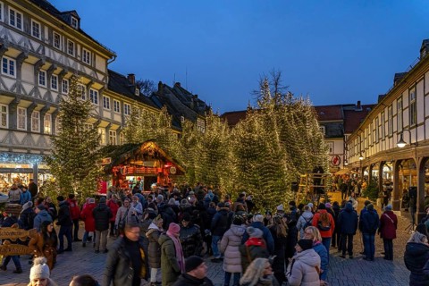 Christmas market and Christmas forest in the old town centre of Goslar at dusk, Lower Saxony,