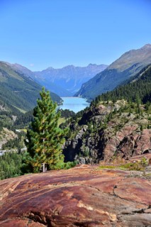 Hiking area above the Faggenbach in the Kaunertal, in the background the Kaunertal reservoir, in