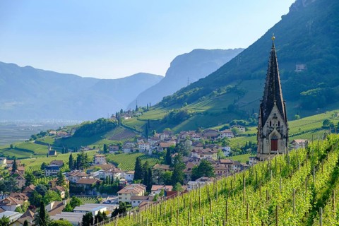 View over Tramin, South Tyrolean Wine Road, South Tyrol, Italy