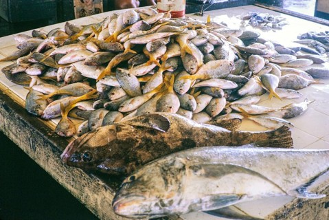 Fish for sale at retail fish market, East coast, Mersing, Johor, Malaya, Malaysia, south east Asia