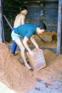 Unpacking ice stored in sand at fish market, East coast, Mersing, Johor, Malaya, Malaysia, south