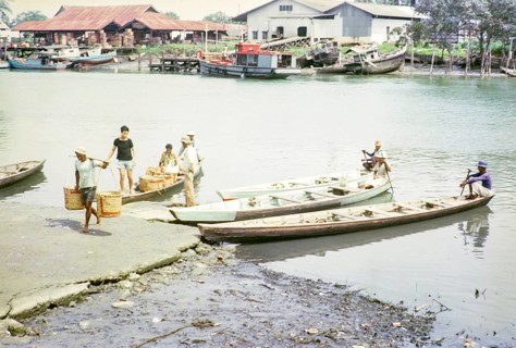 Canoes bringing fish to market, ice and fish packing factories, East coast, Mersing, Johor, Malaya,