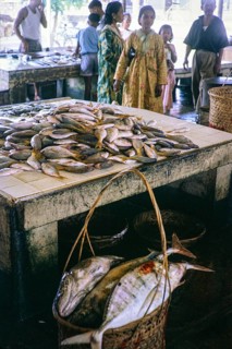 Fish for sale at retail fish market, East coast, Mersing, Johor, Malaya, Malaysia, south east Asia