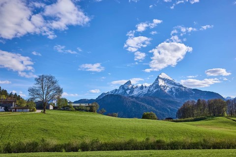 Mountain Watzmann, landscape photography, mountain landscape, mountains, meadow, coniferous forest,