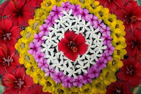 Flower decoration made of blossoms in a luxury resort, Klong Khong Beach, Sala Dan, Ko Lanta, Koh