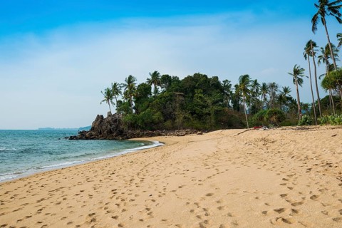White sandy beach and coconut palms, Coconut Palm Beach, Sala Dan, Ko Lanta, Koh Lanta, Krabi