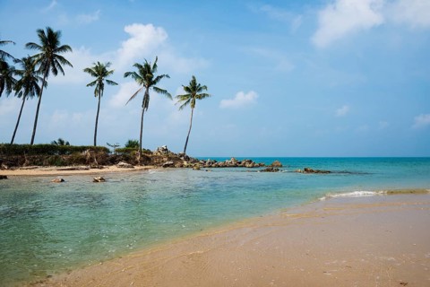 Sandy beach beach and coconut palms, Klong Khong Beach, Sala Dan, Ko Lanta, Koh Lanta, Krabi