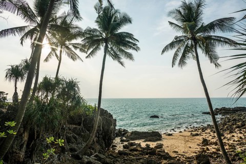 Sandy beach beach and coconut palms, Tricky-Trocky Beach, Sala Dan, Ko Lanta, Koh Lanta, Krabi