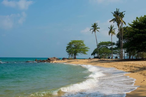 Sandy beach beach and coconut palms, Secret Beach, Sala Dan, Ko Lanta, Koh Lanta, Krabi Province,