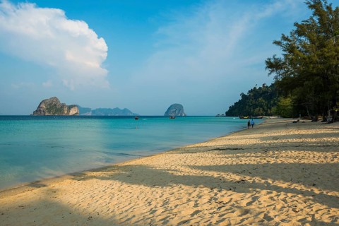 White sandy beach and coconut palms, Sunrise Beach, Koh Great white shark, Ko Ngai, Krabi Province,