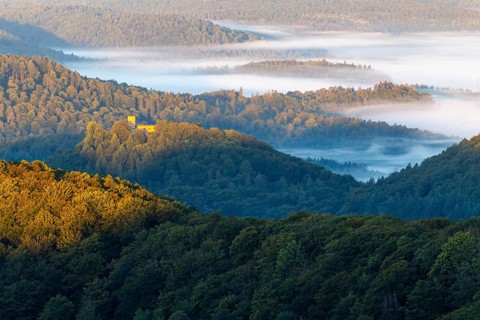 View over the Palatinate Forest, mixed forest, dawn, fog, Luipoldsturm, Hermansbergdorf,