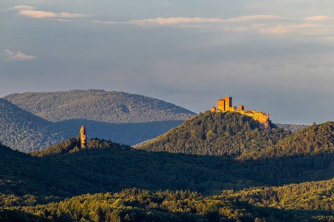 View of Trifels Castle and Anebos Castle, mixed forest, Annweiler, Pfläzerwald,