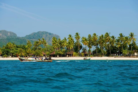 White sandy beach and coconut palms, Pearl Beach, Koh Mook, Trang Province, Southern Thailand,
