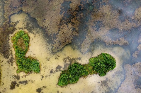 Aerial view, islands in the Drau, river, Carinthia, Austria