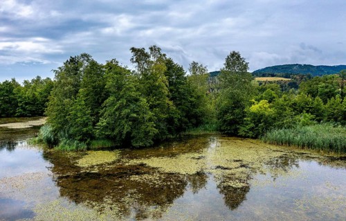 Brenndorf bird sanctuary, Drau riverbank, river, Carinthia, Austria