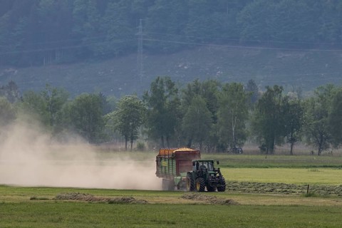 Tractor driving with trailer, mowing grass, meadow, dust, drought, summer, Alpine foothills,